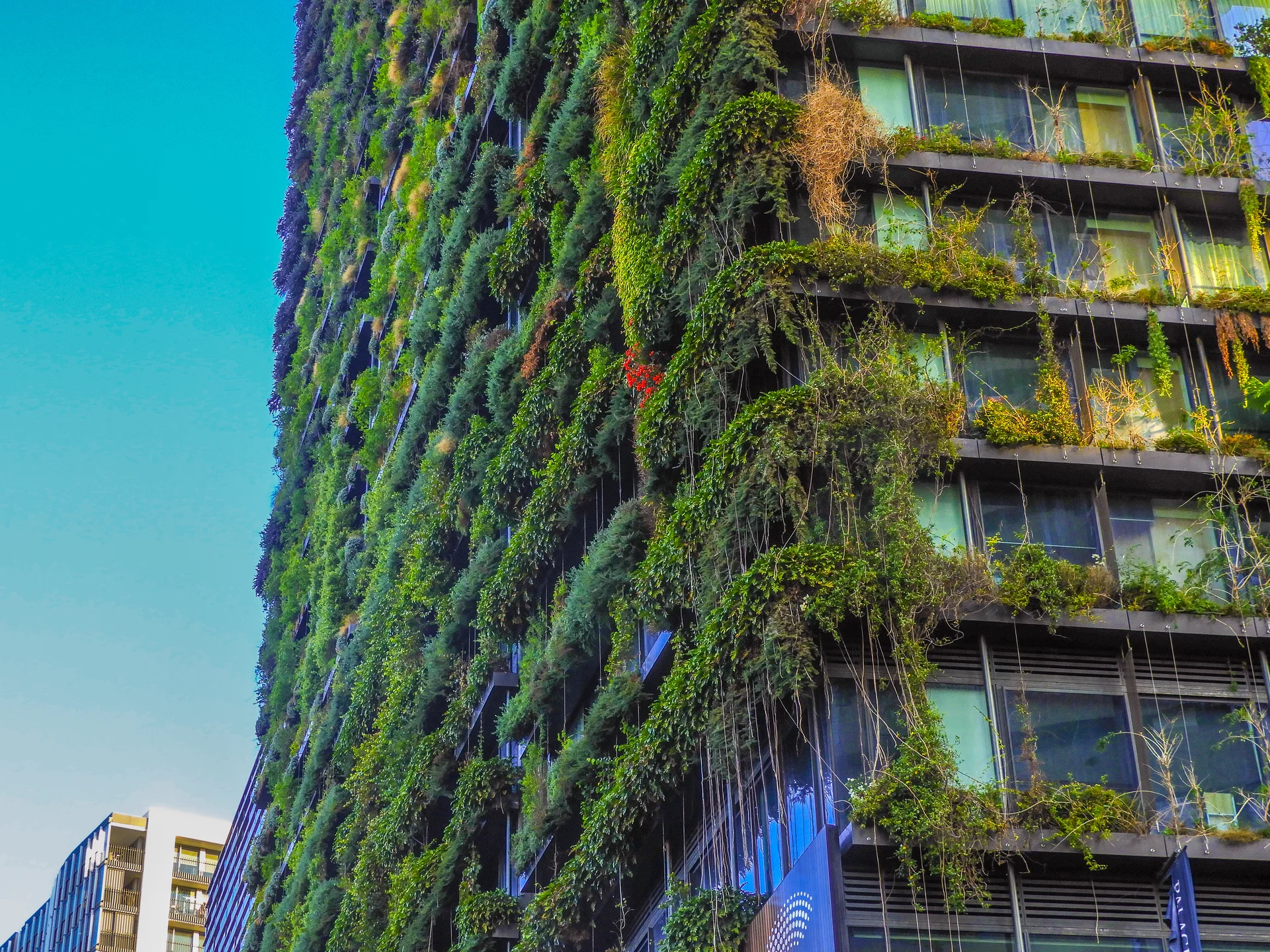 Photography Portfolio - Image 17